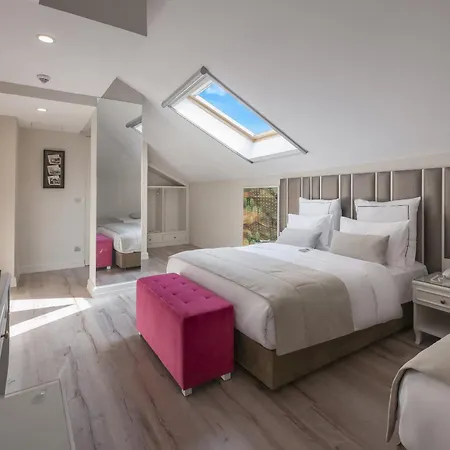 Le Petit Palace - Special Category Isztambul