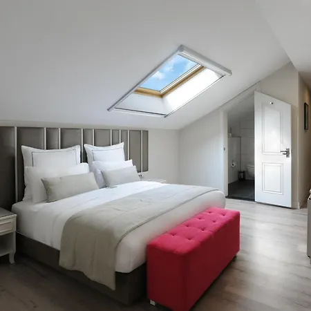 Le Petit Palace - Special Category Ξενοδοχείο