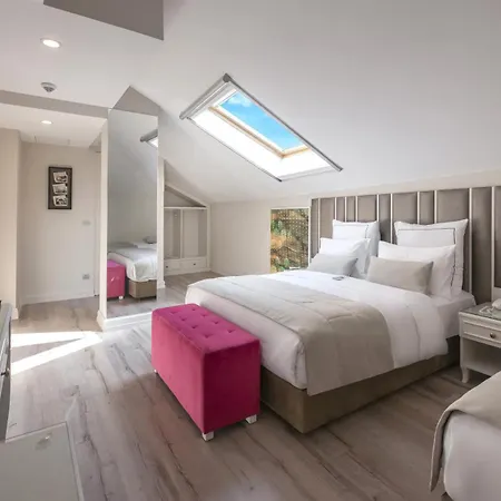 Le Petit Palace - Special Category