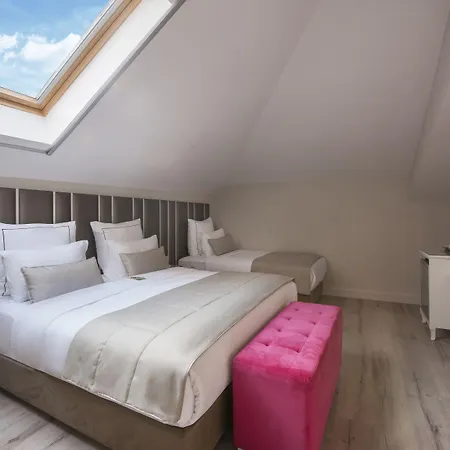 Ξενοδοχείο Le Petit Palace - Special Category