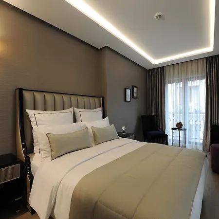 Le Petit Palace - Special Category