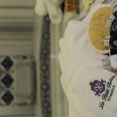 Otel Le Petit Palace - Special Category
