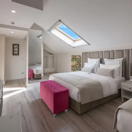 Le Petit Palace - Special Category 3*