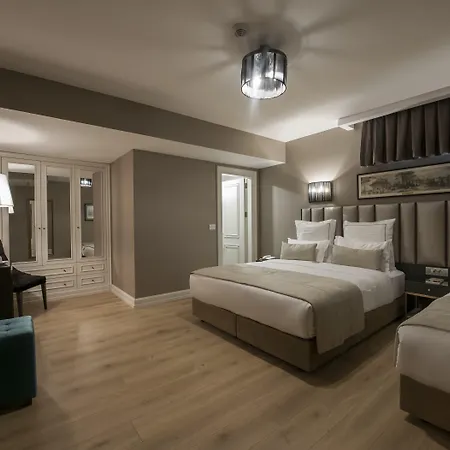 Le Petit Palace - Special Category Otel
