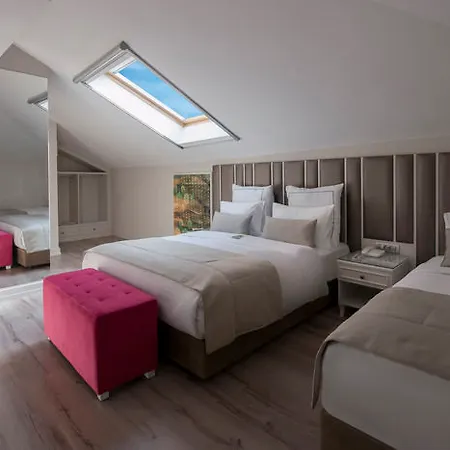 Le Petit Palace - Special Category
