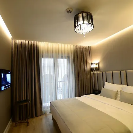 Le Petit Palace - Special Category