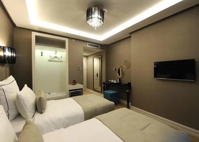 珀蒂宫酒店 - 特殊类别 3* 伊斯坦布尔