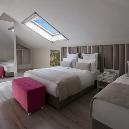 Le Petit Palace - Special Category 3*