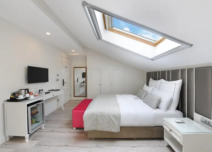 Le Petit Palace - Special Category Стамбул