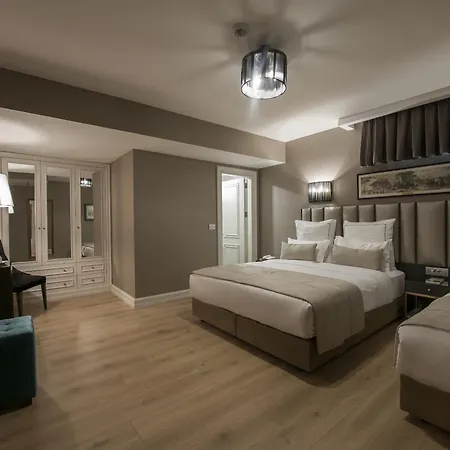 Hotel Le Petit Palace - Special Category 3*