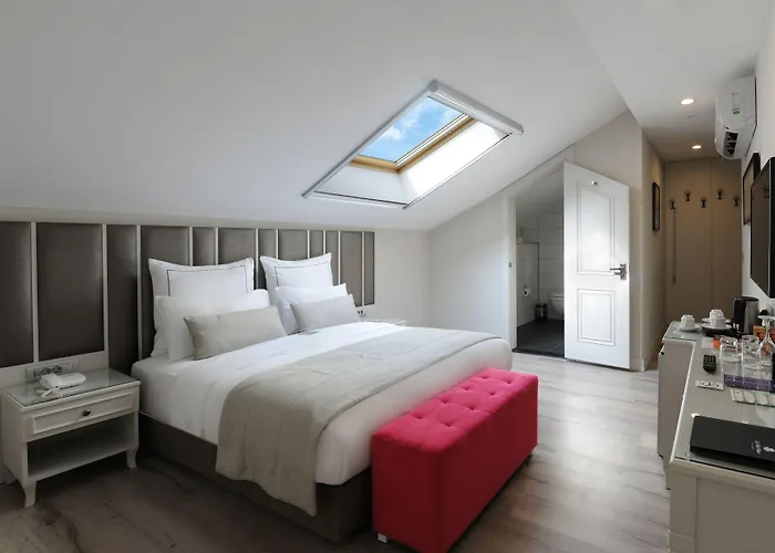 Le Petit Palace - Special Category מלון 3*