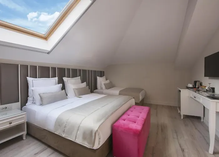 Le Petit Palace - Special Category