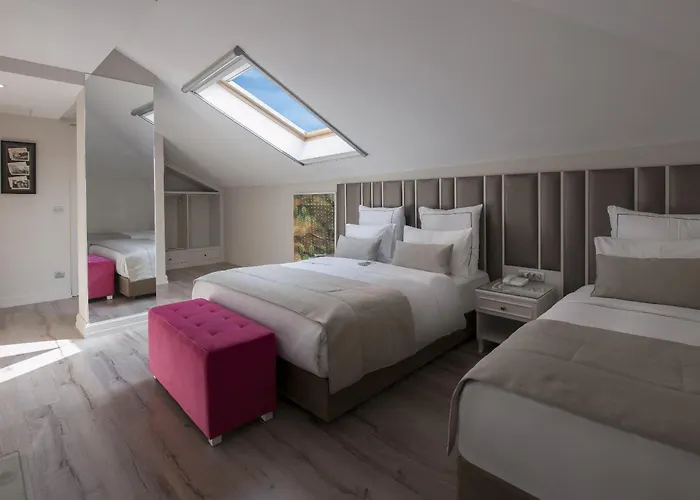 Le Petit Palace - Special Category 3*