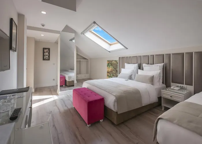 Le Petit Palace - Special Category איסטמבול