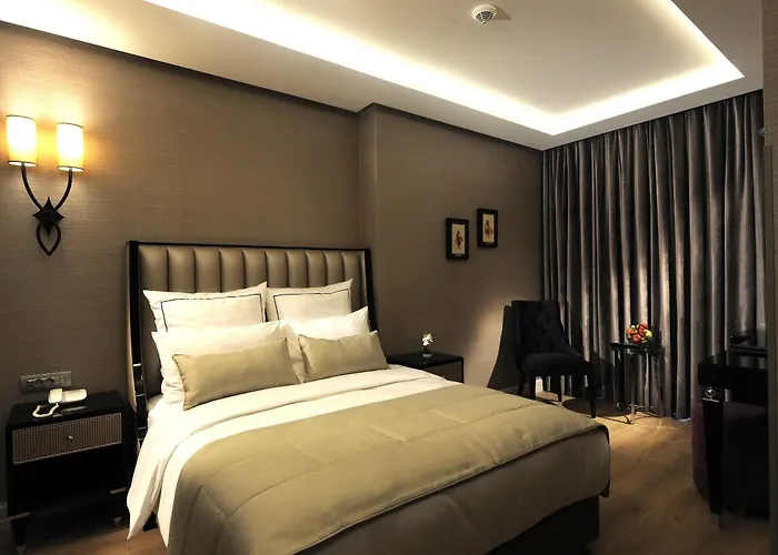 Le Petit Palace - Special Category 3*