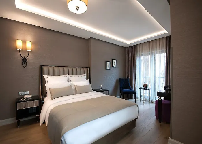 Le Petit Palace - Special Category מלון