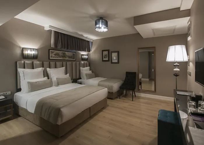 Le Petit Palace - Special Category