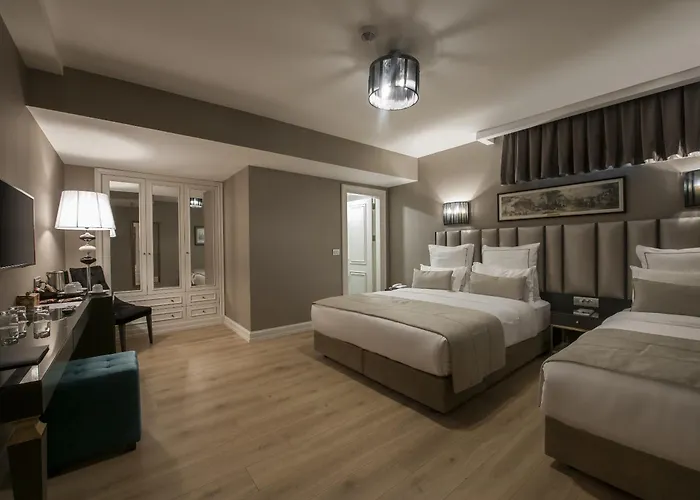 מלון Le Petit Palace - Special Category 3*